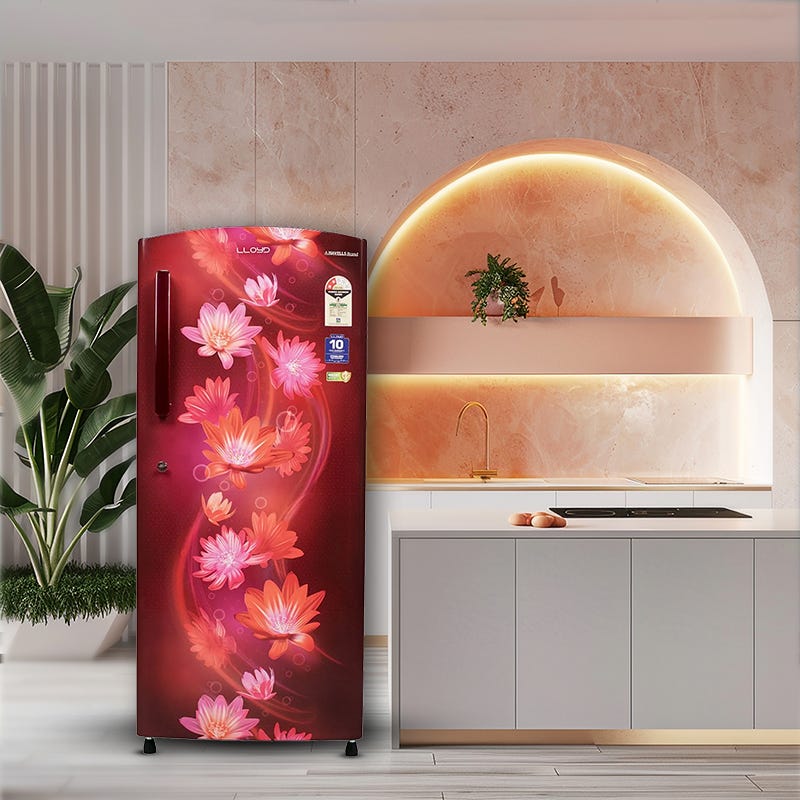 Direct Cool Refrigerator 240 L Zephyr Wine